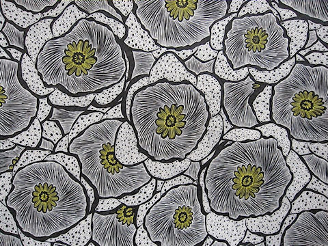 Primula Auricula by Jarrett Bywaters